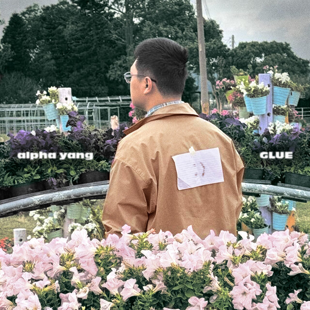 Glue