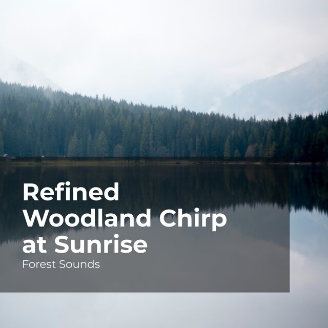 Refined Woodland Chirp at Sunrise
