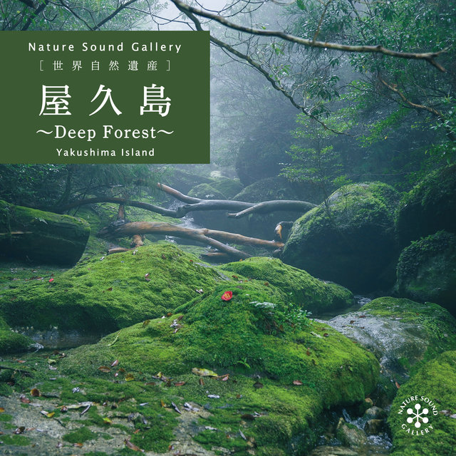 Yakushima Island - Deep Forest