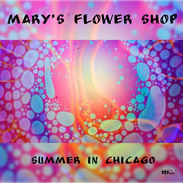 Summer in Chicago