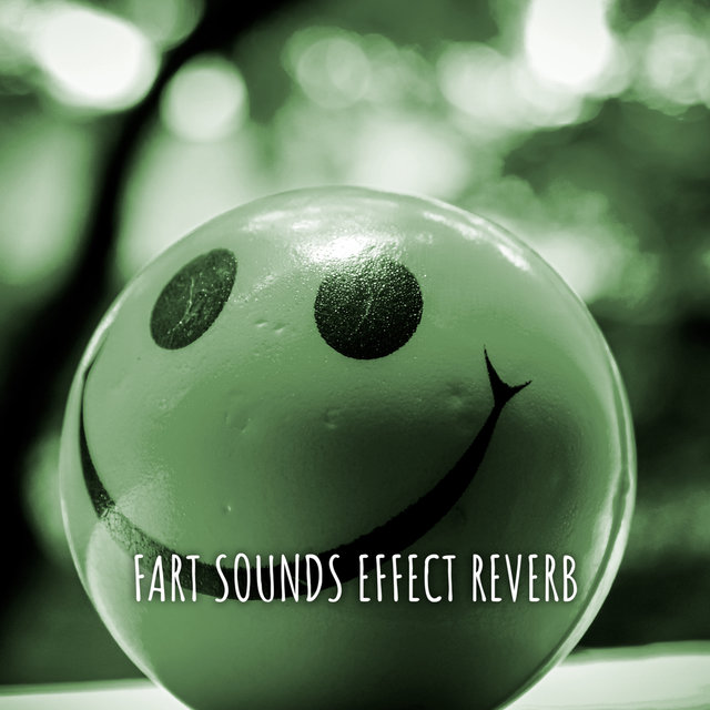 FART SOUNDS EFFECT REVERB