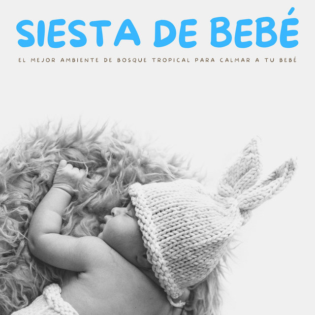 Siesta De Bebé: El Mejor Ambiente De Bosque Tropical Para Calmar A Tu Bebé