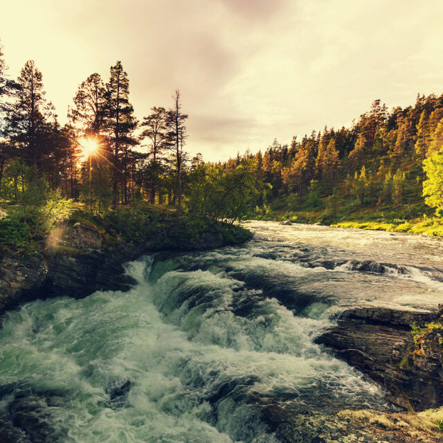 Flowing Music: Tranquil Contemplation by the River