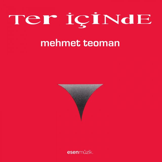 Ter İçinde