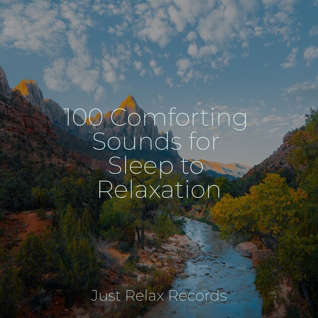 100 Comforting Sounds for Sleep to Relaxation