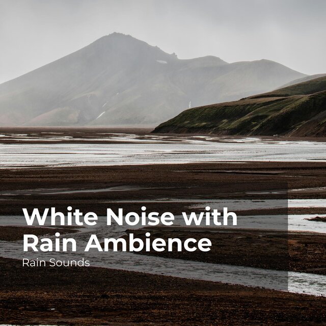 White Noise with Rain Ambience