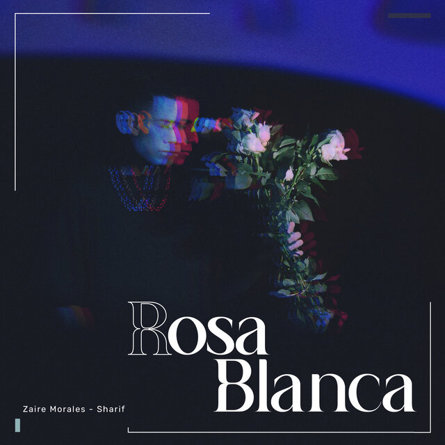 Rosa Blanca