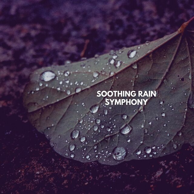 Soothing Rain Symphony