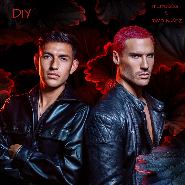 Diy