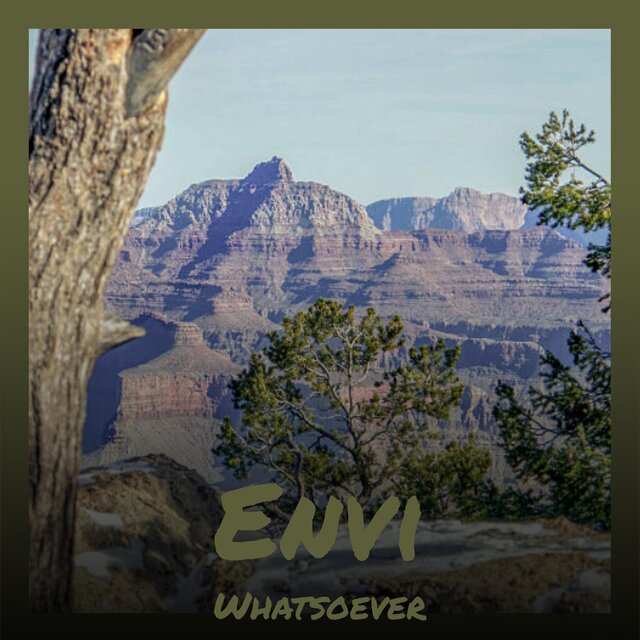 Envi Whatsoever