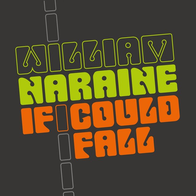 If I Could Fall (Vincenzo Callea Radio Remix)