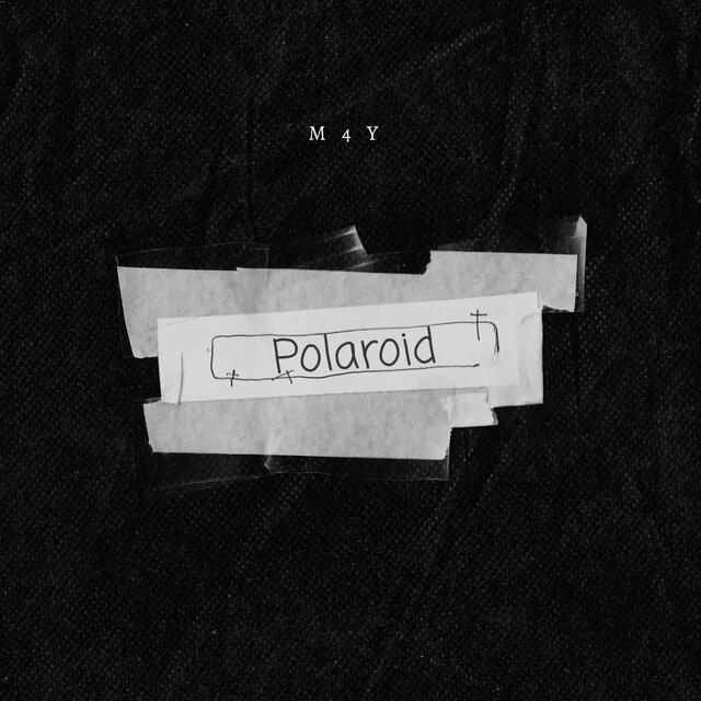 Polaroid