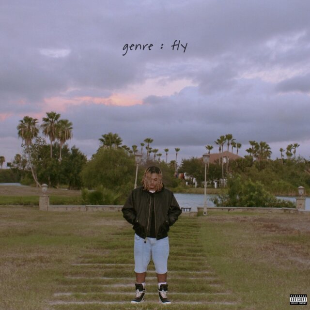 genre : fly