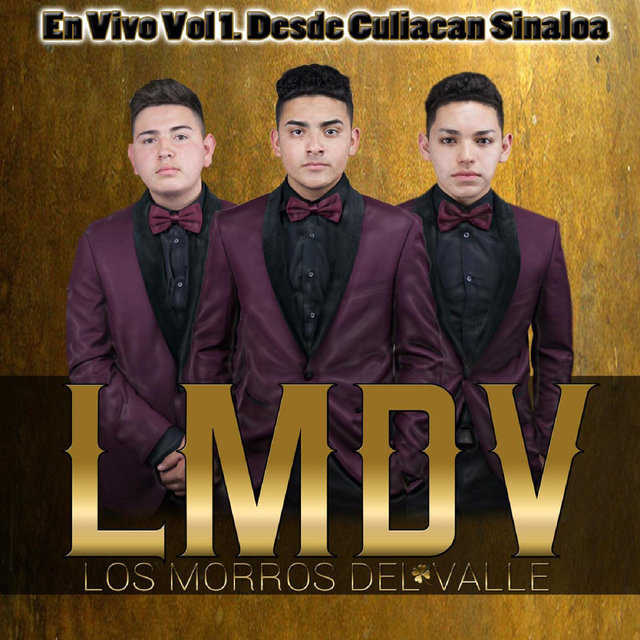 En Vivo Desde Culiacán Sinaloa, Vol. 1