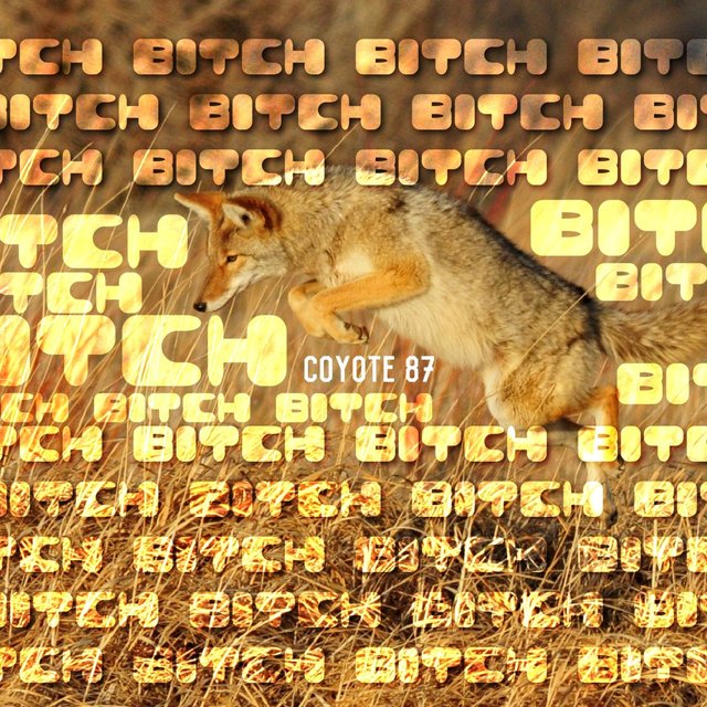 BITCH EP