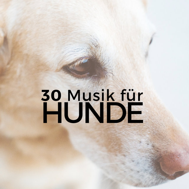 30 Musik für Hunde - Friedliche Musik zum Schlafen