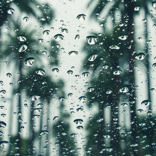 2020 April Sounds of Rain for Relaxation & Meditation