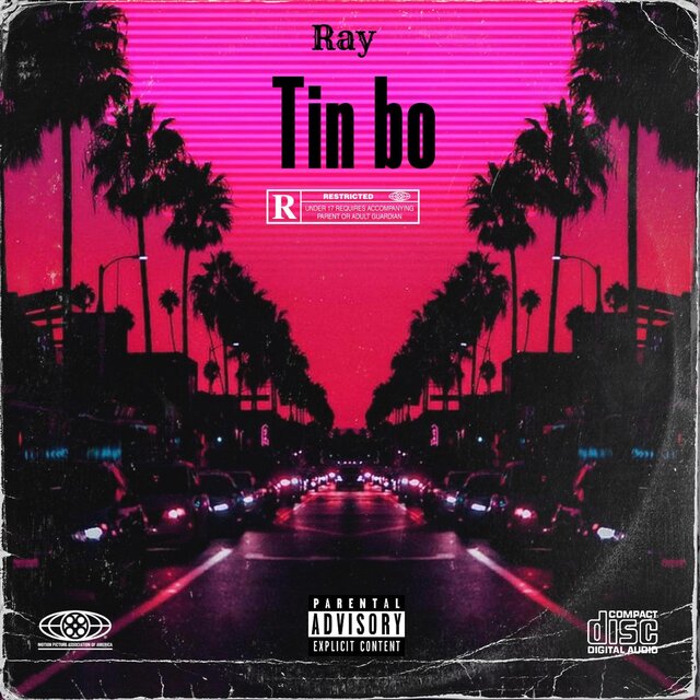 Tin Bo