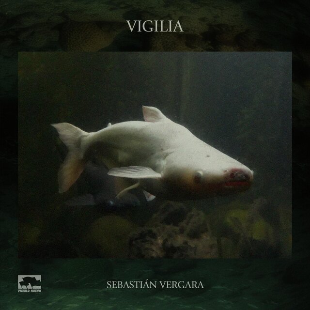 Vigilia