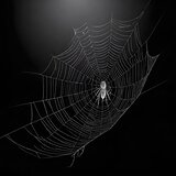 DARKWEB
