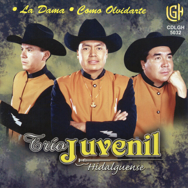 La Dama  Como Olvidante