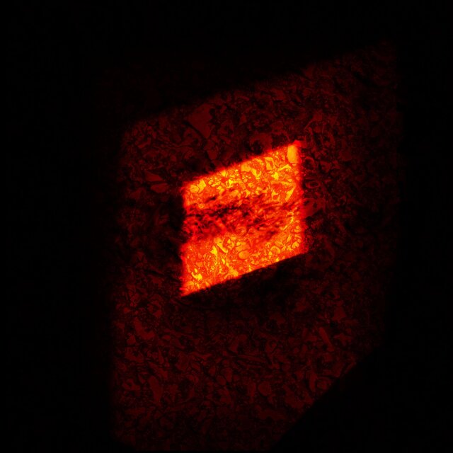 Shadow