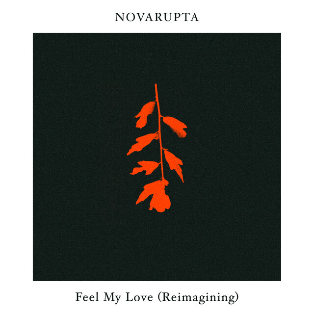 Feel My Love (Novarupta Reimagining)