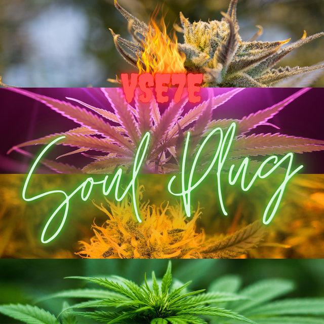 Soul Plug