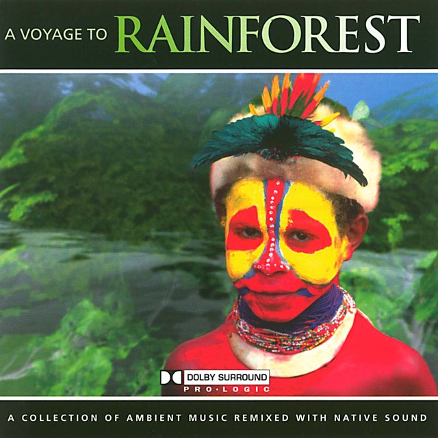 A Voyage To The Rainforest