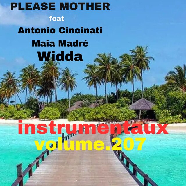 instrumentaux vol.207