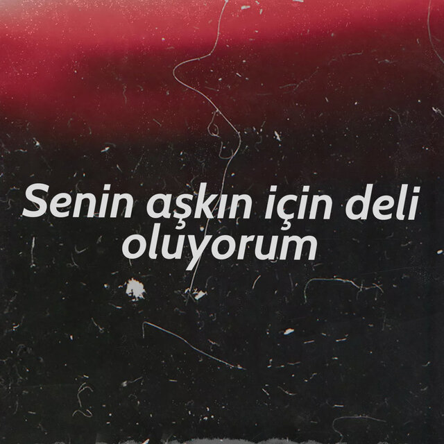 Senin aşkın için deli oluyorum