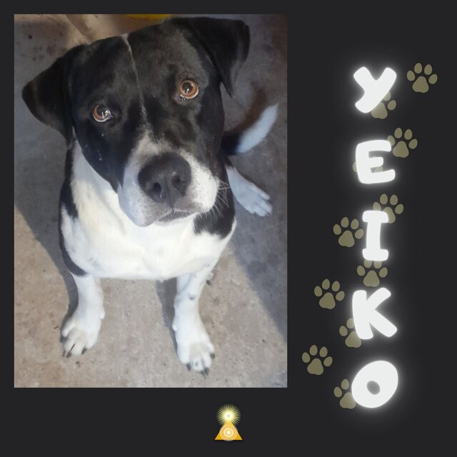 Yeiko