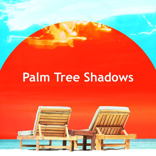 Palm Tree Shadows