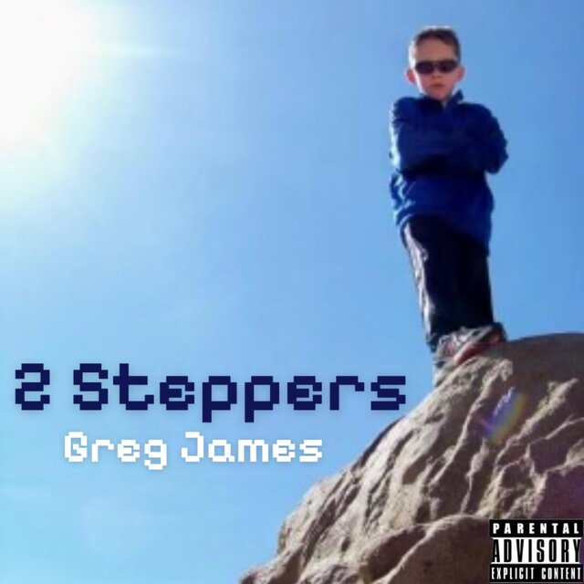 2 Steppers