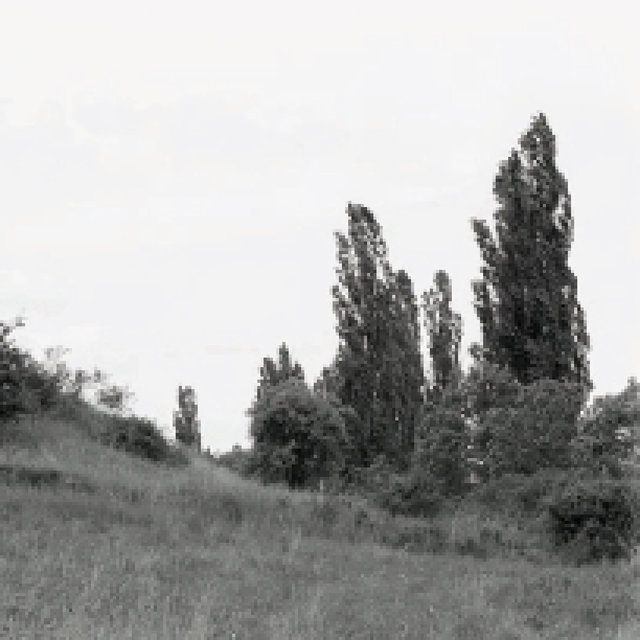 Qualzow
