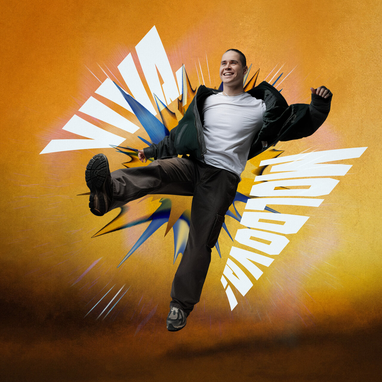 Satoshi Viva, Moldova! cover artwork