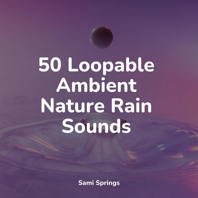 50 Loopable Ambient Nature Rain Sounds by Academia de Música para ...