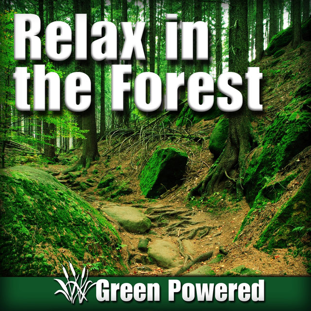 Relax in the Forest (Nature Sound)