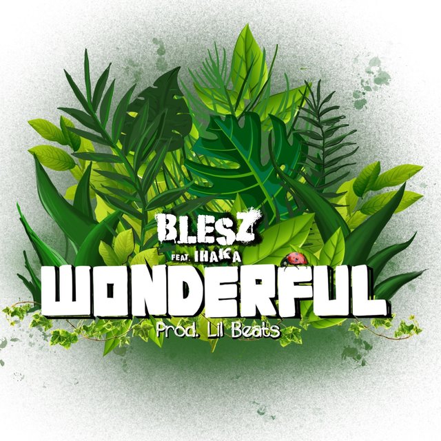 Wonderful (feat. Ihaka)