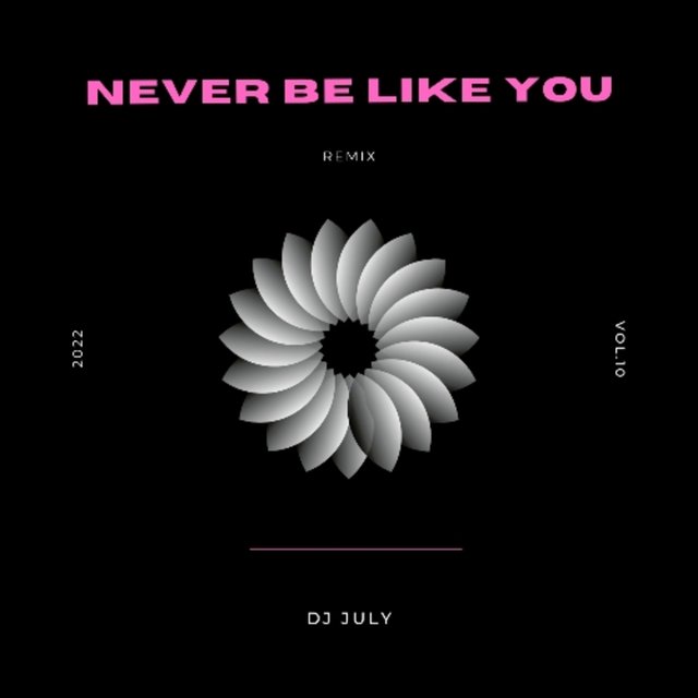 Never be like you - Remix (Remix)
