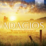 Violin Concerto in D Major, Op. 77: II. Adagio