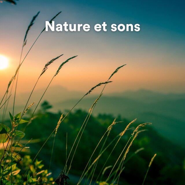 Nature et sons