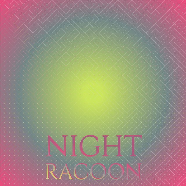 Night Racoon
