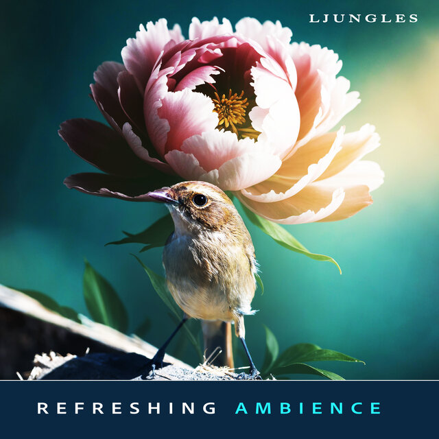 Refreshing Ambience