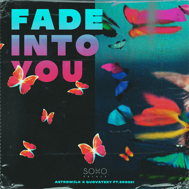 Fade into You