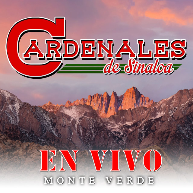 En Vivo Monte Verde