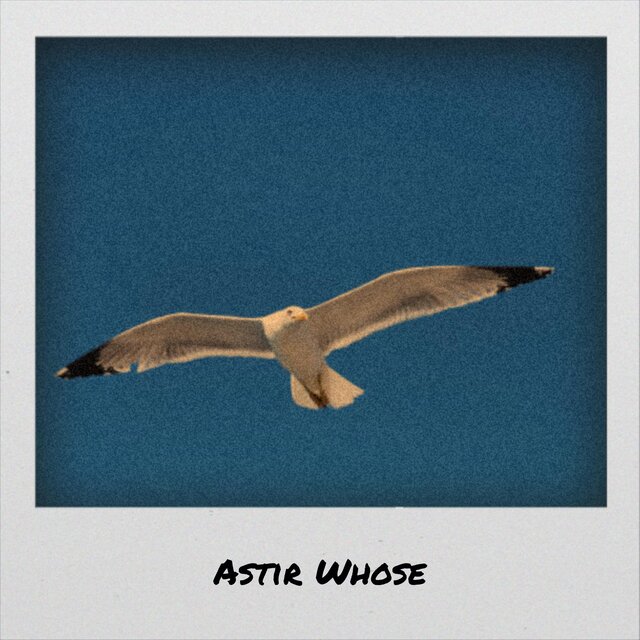 Astir Whose