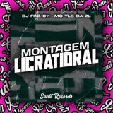 Montagem Licratidral