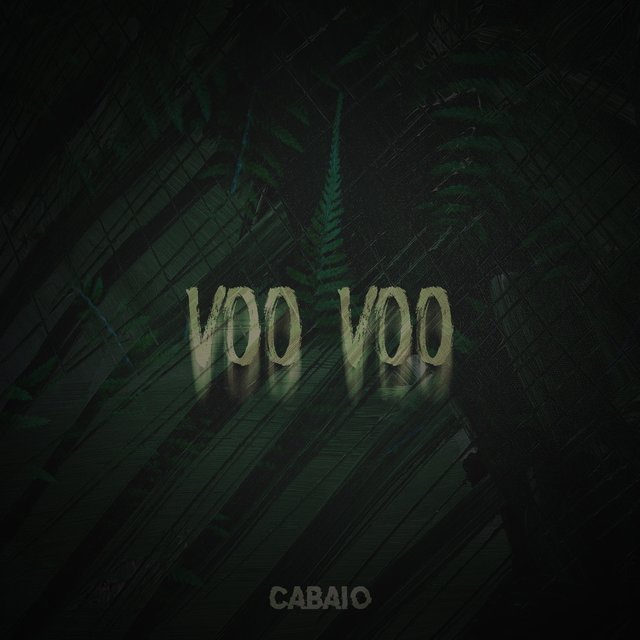 Voo Voo