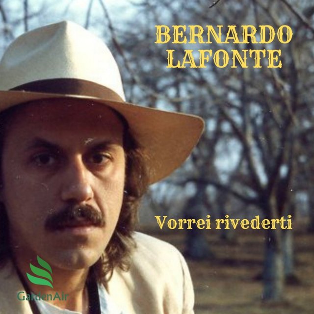 Vorrei rivederti